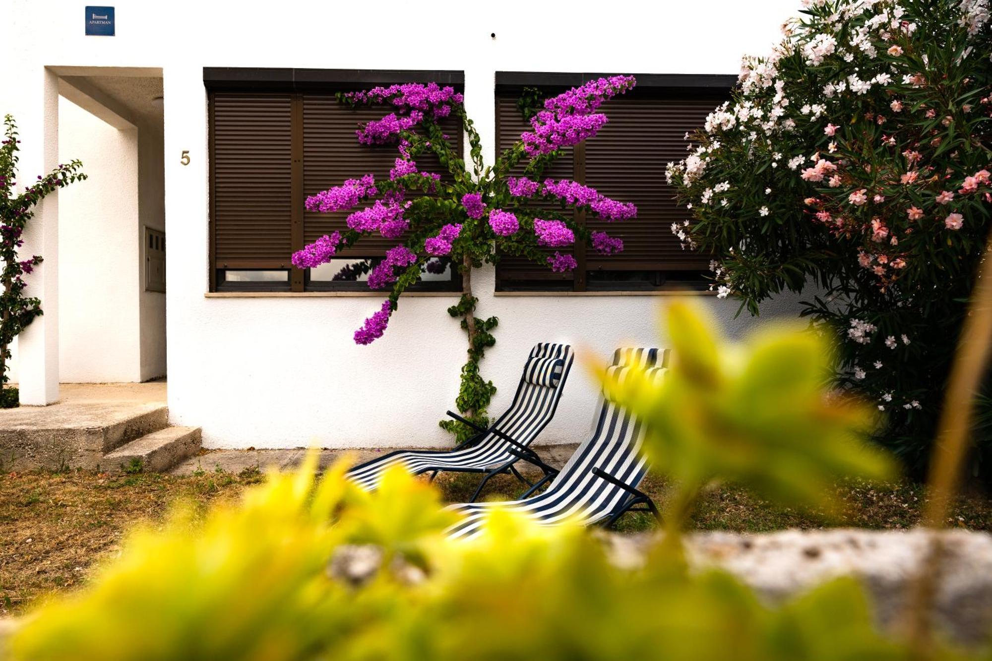 Apartments Dida Sime Starigrad Paklenica Eksteriør bilde